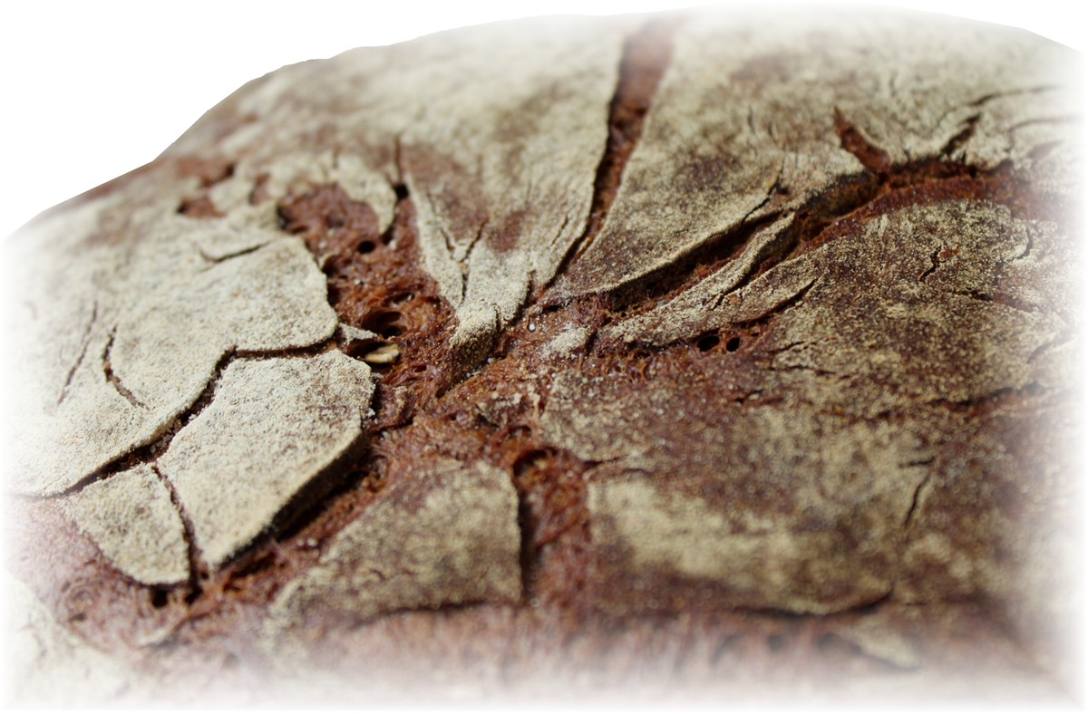 Brot mit ausgeprägter Kruste